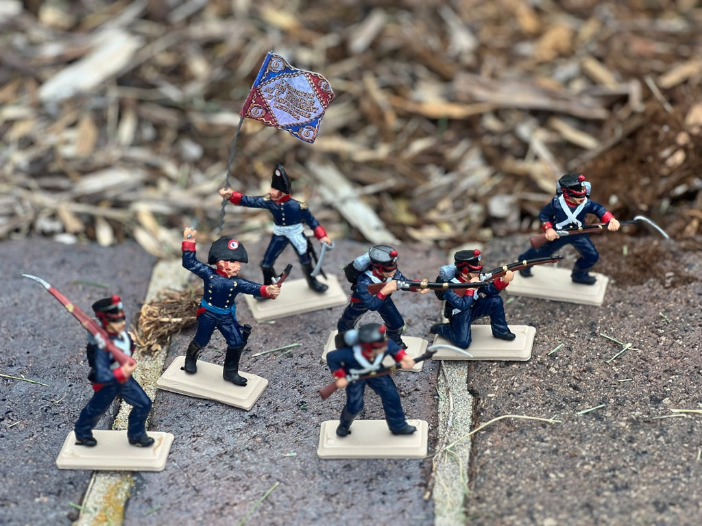 DSG Toy Soldiers French Infantry, Napoleonic (7 figures)