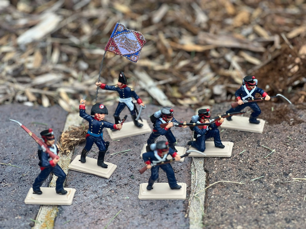 DSG Toy Soldiers French Infantry, Napoleonic (7 figures)